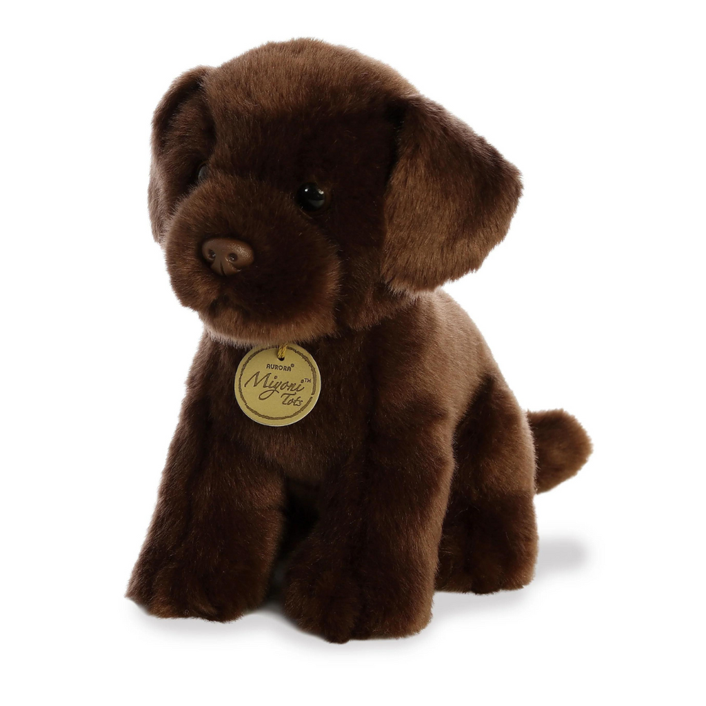 Aurora Miyoni 11 Chocolate Lab Pup Brown