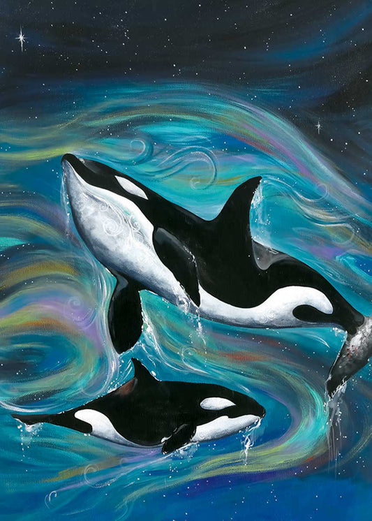 INDIGENOUSMagnet | Killer Whales